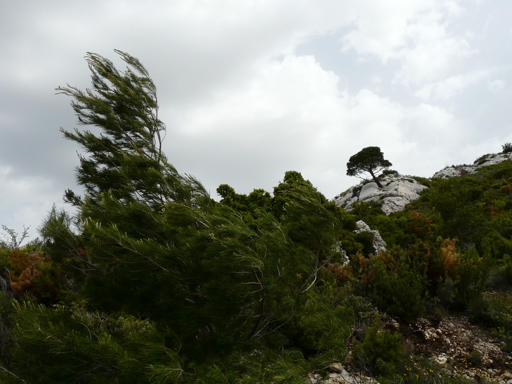 Sainte Beaume, 26-05-08, 10-32.jpg